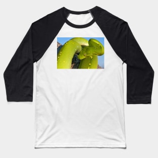 Green Tree Python Baseball T-Shirt